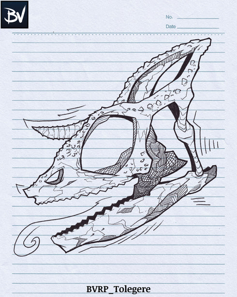 Rollerball Pens | Digital Brushes